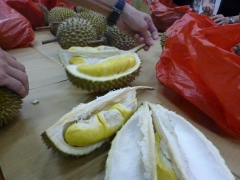 Mid-Autumn Festival 2016